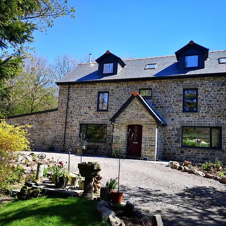 Little London Bed & Breakfast And Glamping Pod Hotel Abercraf Kültér fotó
