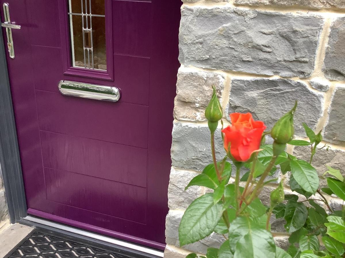 Little London Bed & Breakfast And Glamping Pod Hotel Abercraf Kültér fotó