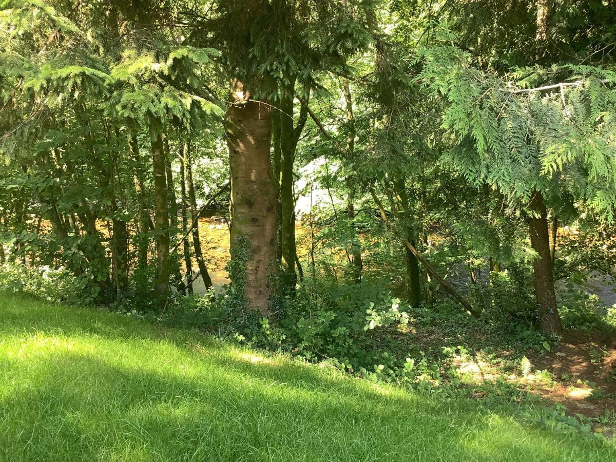 Little London Bed & Breakfast And Glamping Pod Hotel Abercraf Kültér fotó