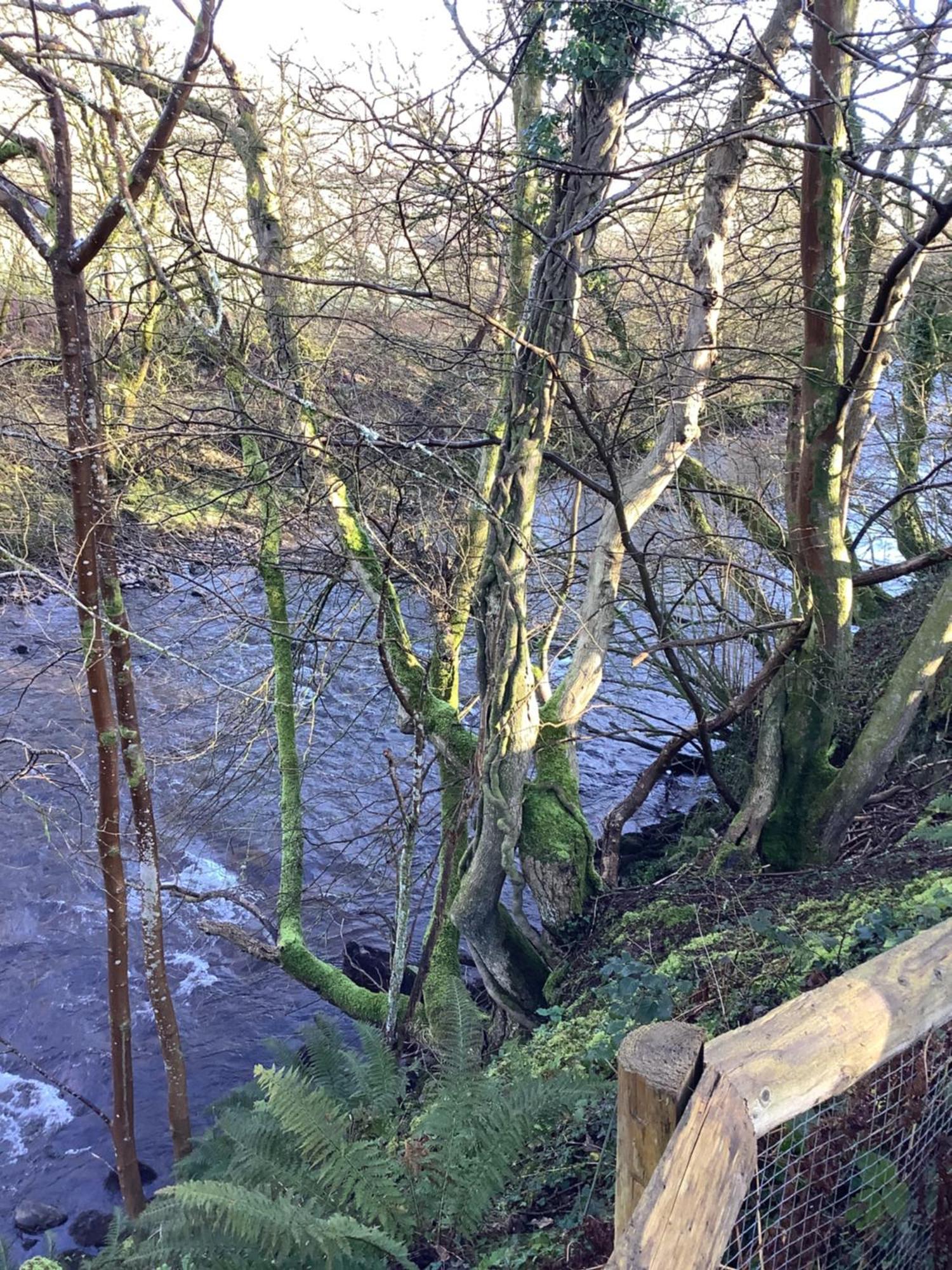 Little London Bed & Breakfast And Glamping Pod Hotel Abercraf Kültér fotó